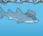 Kötü Köpekbalığı oyunu oyna