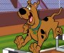 Scooby doo ve Hayalet game