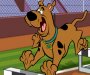 Scooby doo ve Hayalet oyunu oyna