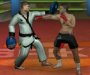 Kick Boks oyunu oyna